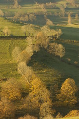 paysages d'automne