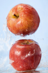 fruit