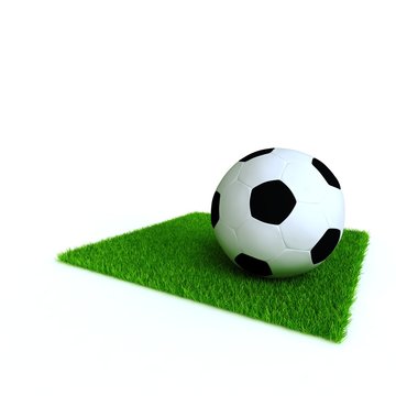 soccer ball on a lawn
