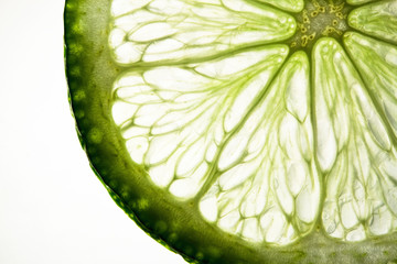 Limette vor dem Licht