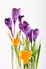 .Rich spring flowers background
