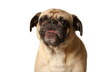 Obraz premium A Different Kind Of Beauty