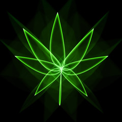 Fototapeta premium Canabis