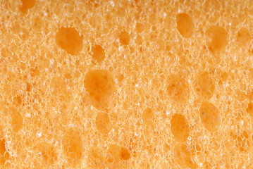 gąbka, sponge