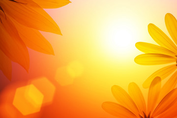 Sunshine background with sunflower details © logoboom