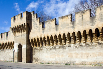 Fototapeta premium Remparts d'Avignon - Ouvrage d'art antique