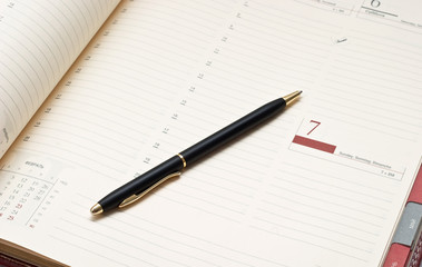 Agenda and pen
