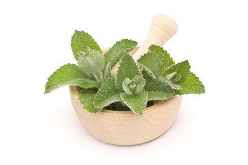 mint leaves in mortar