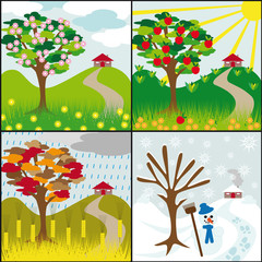 four seasons tree on a hill with a house