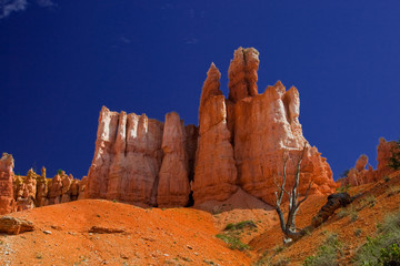 Fototapeta premium BRYCE CANYON_UTAH