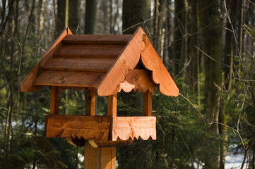 Obraz na płótnie Canvas dom w lesie ptak
