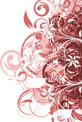 Floral abstraction for design.