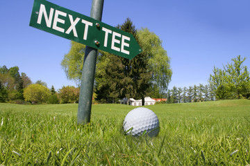 Golf  next tee