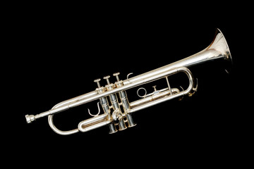 Obraz na płótnie Canvas silver trumpet in night