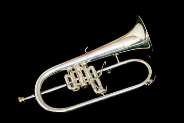 Naklejka premium silver fluegelhorn in night