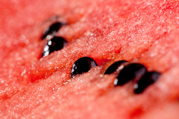 Watermelon Background