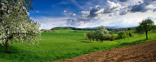 Fototapeten Spring landscape - green fields, the blue sky © Anobis