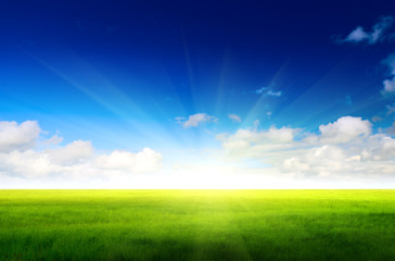 Fototapeta na wymiar zielone pola i niebo