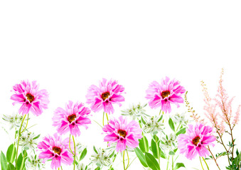 Obraz na płótnie Canvas Pink flowers