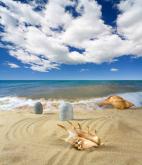 Fototapeta na wymiar Landscape with seashell and stones on background