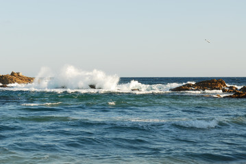 récifs, côte d'azur