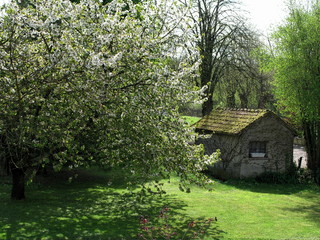 Petite maison au toit moussu au fond du jardin