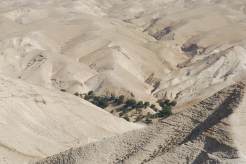 pustynia, desert