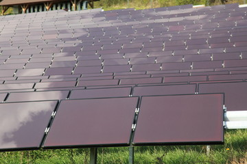 Fototapeta premium Solar Solaranlage Solarzellen