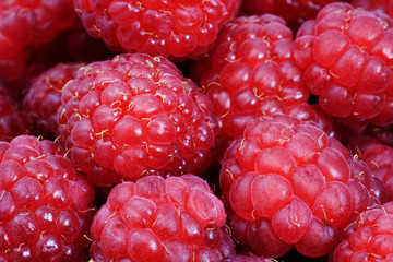 Raspberry background