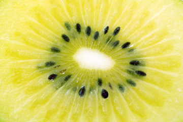 Kiwi background
