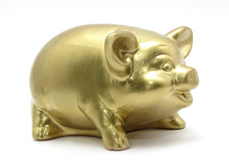 piggy bank