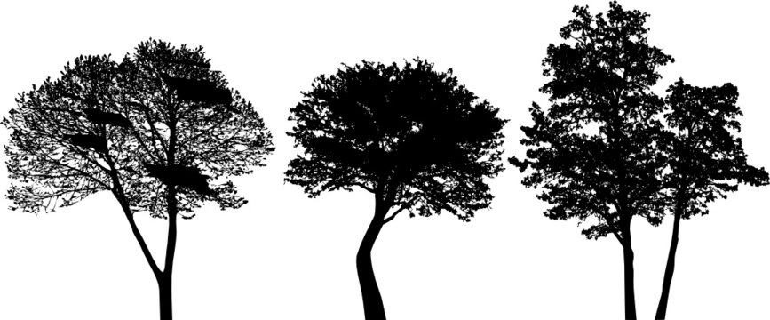 trees - vector set