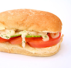 panini