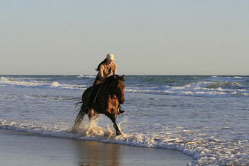 Galopp am Strand