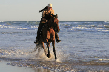 Galopp am Strand