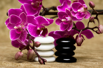 Spa essentials (pyramid of stones with purple orchids)