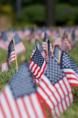 American flags for Memorial Day