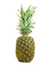 Sweet Pineapple Isolation