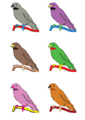 Colorful canaries