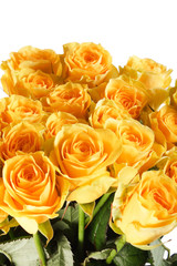 yellow roses