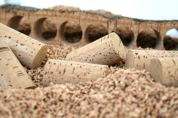 Cork Stoppers-Rolhas-Cortiça-Liège-Bouchons-Tapones-Sobreiro