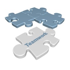 Teamwork 3D Puzzle