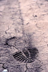 trace of the sole on land