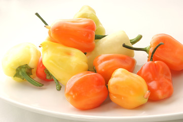 kleine Gemüsepaprikaschoten auf einem Teller