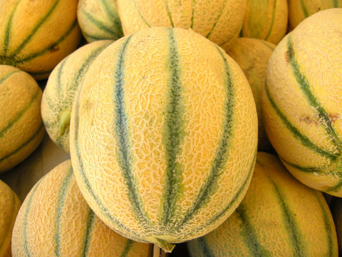 Honigmelone