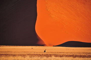 Dunes du namib