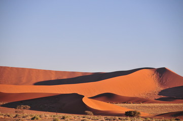 Plakat Dunes du namib