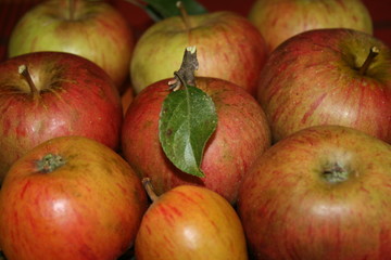 Äpfel