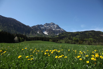 Alpen