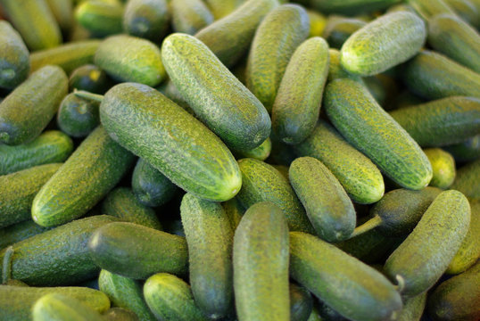 Zucchini